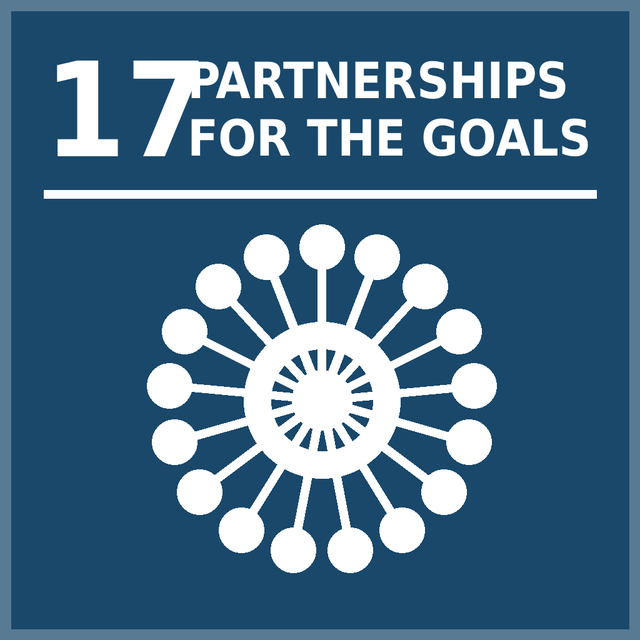 SDG 17 Partnerships for the Goals